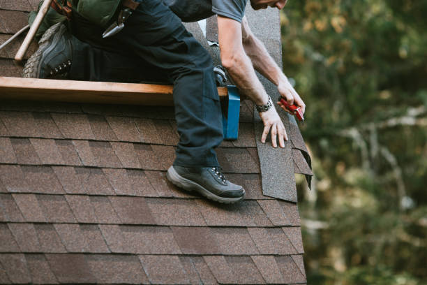 Best Gutter Installation and Roofing  in Brighton, TN